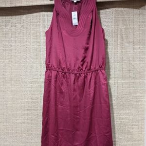 NWT Loft dress